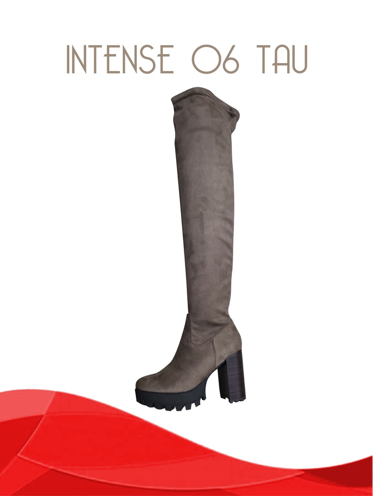 [316INTENSE06T10] Botas Sobre la Rodilla con Suela Gruesa Topo para Mujer Intense-06 (10)